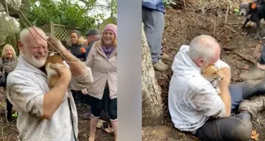 Dog owner breaks down in tears as he is reunited with beloved pet