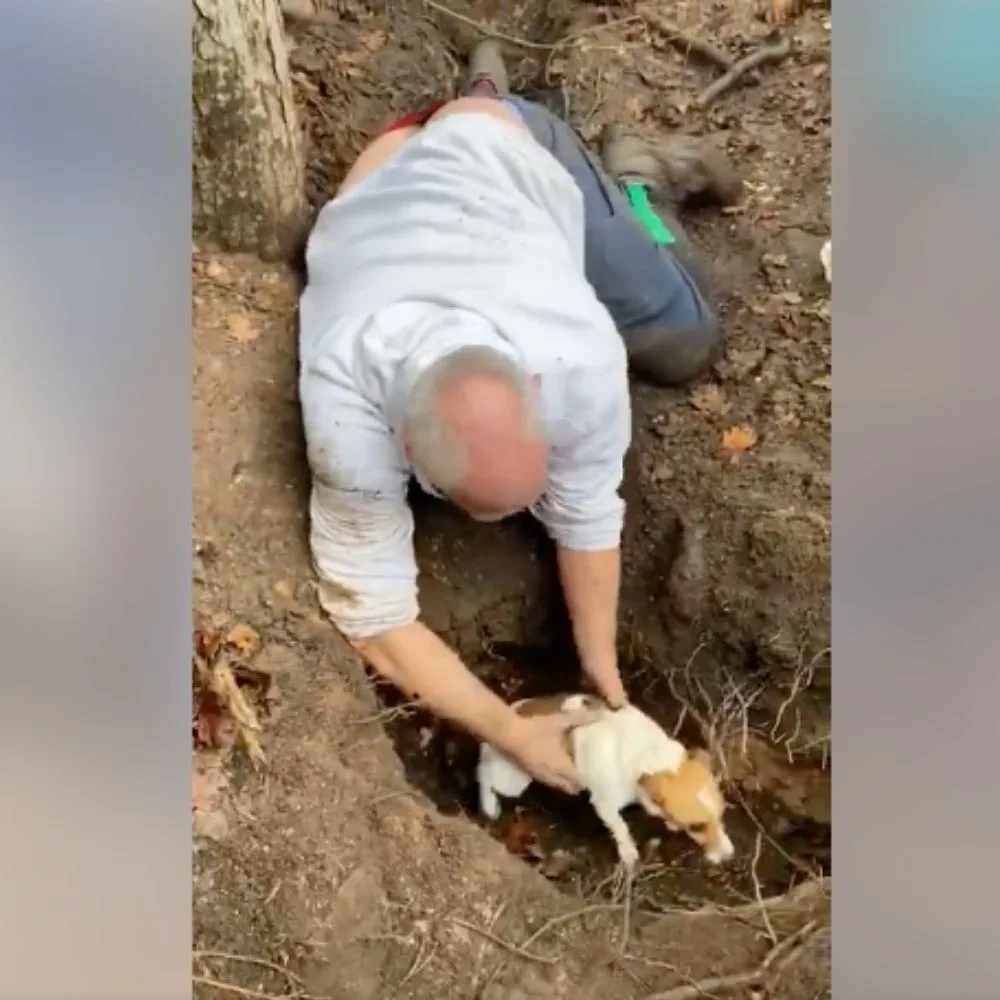 The moment Alan found Mitzi in the rabbit hole