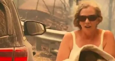 Koala saved from bushfire by brave shirtless rescuer dies