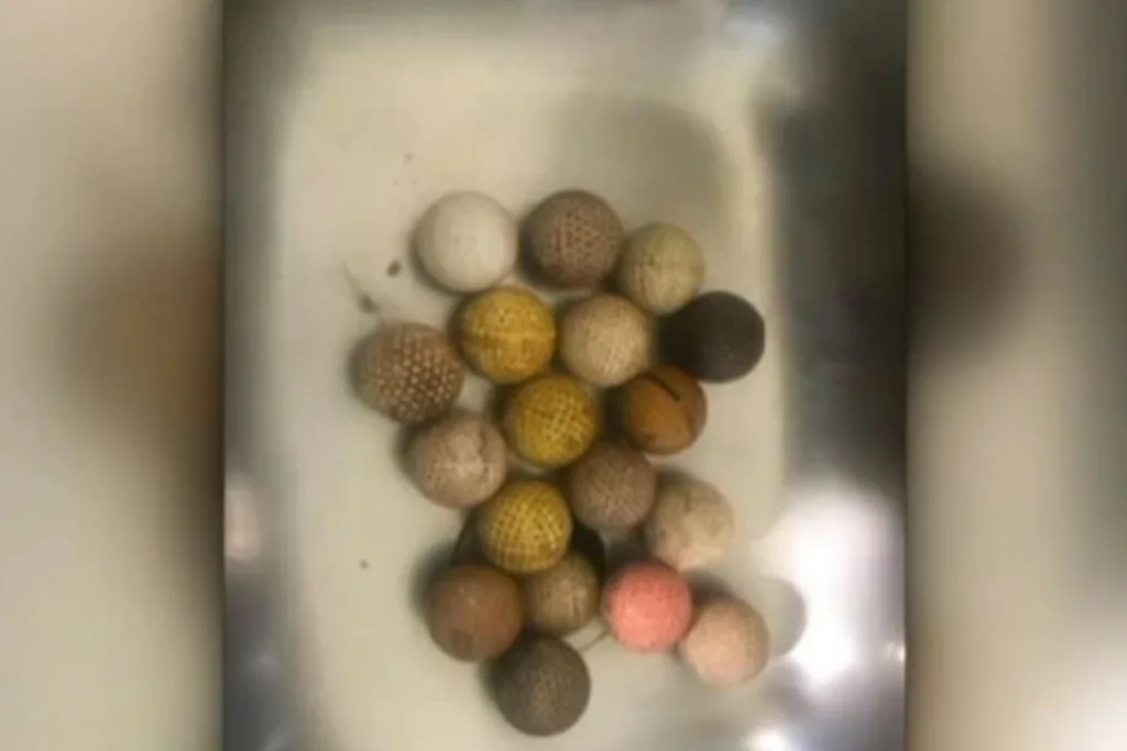 The 18 golf balls removed from the stomach of the Gold Coast dog.