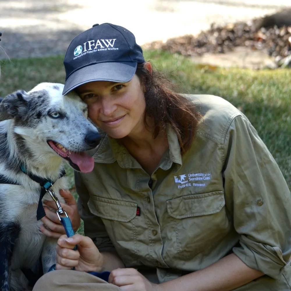 IFAW