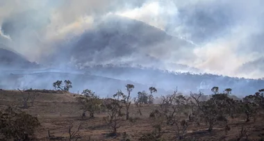 All bushfires in NSW are now under control