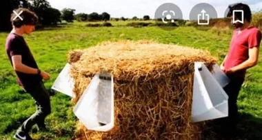 Bride-to-be is attacked online for wanting ‘hay urinal’ at upcoming wedding