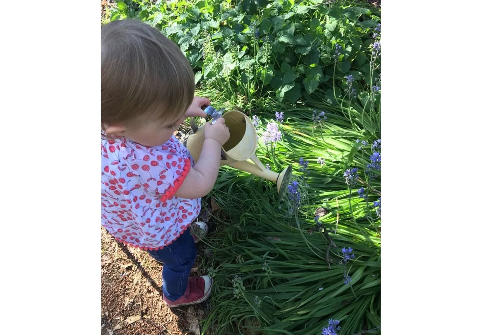 Percy Haggar world's youngest beekeeper
