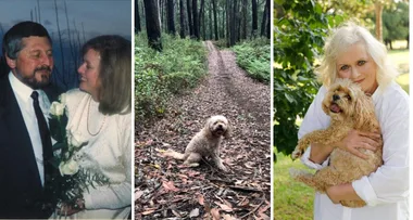 My four-legged miracle: How a dog called Harry healed my broken heart
