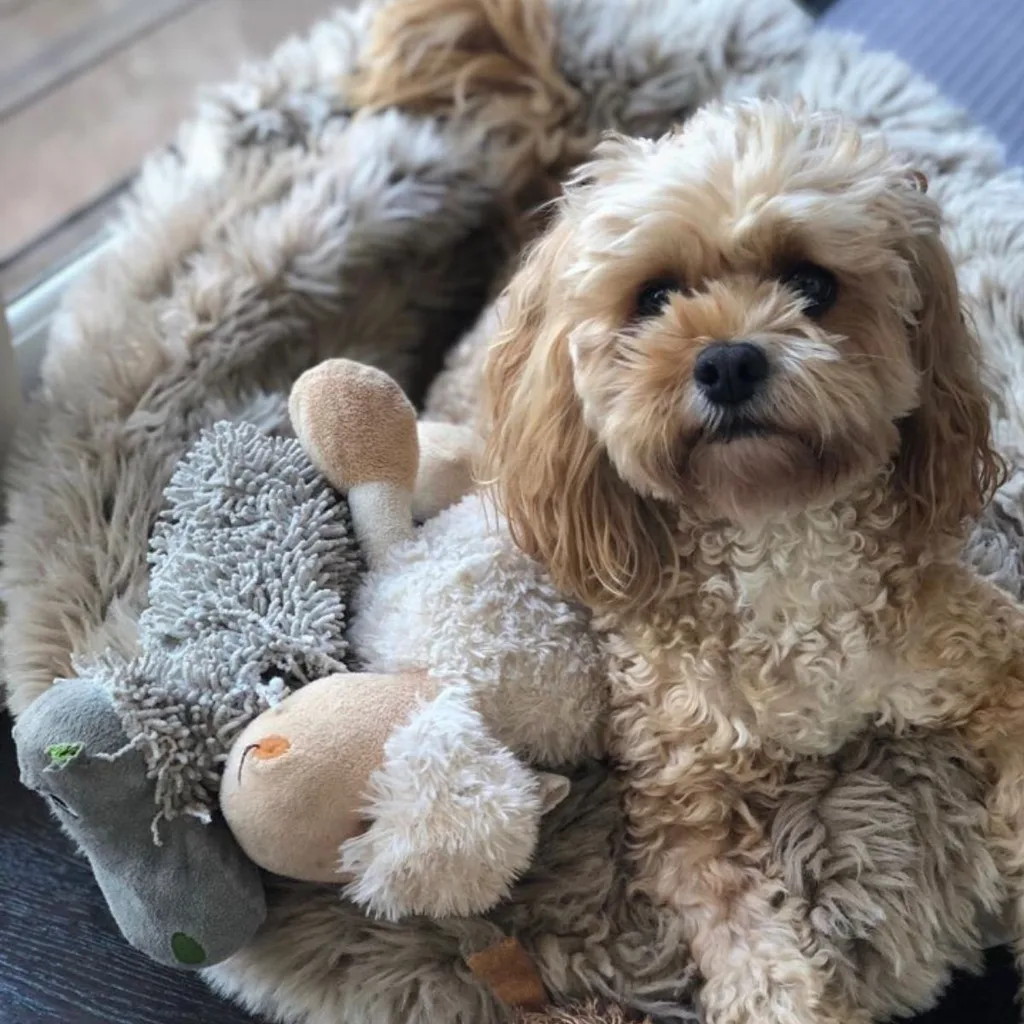 It was love at first sight for Jill and George. Credit: Supplied