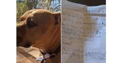 Aussie mum shares adorable neighbour note exchange delivered by Nugget the dog!
