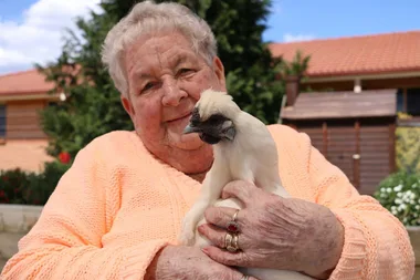 I’m so clucky! Aussie great-grandma saved by her chook