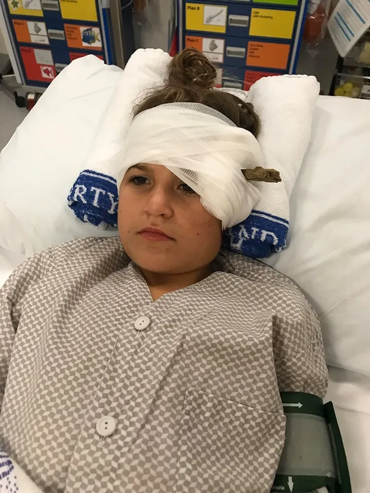 Brave Addie