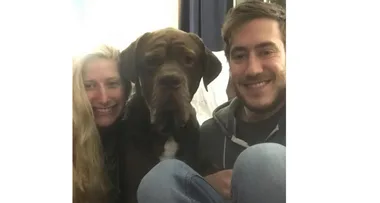 A pizza box found our pup!