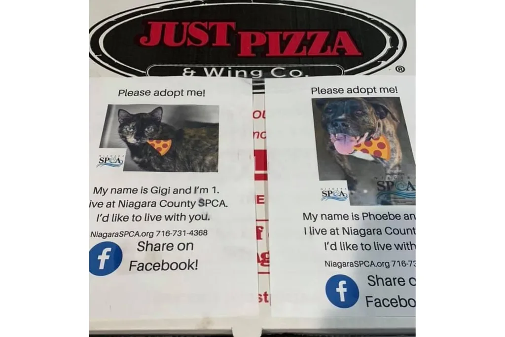 Just Pizza