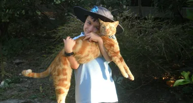 My cat saved my boy’s life!