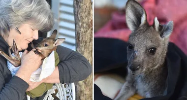 Meet Australia’s real-life Dr Dolittle!
