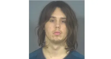 Boy, 18, admits to torturing newborn puppy to death