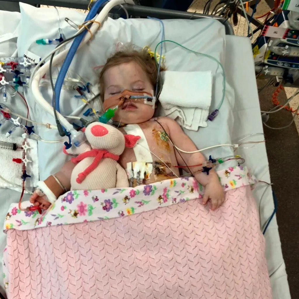 Ellie after surgery