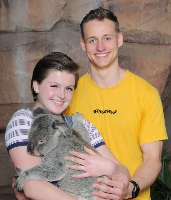 Koala cuddles with my ring!