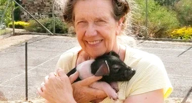 Meet Professor Pig!