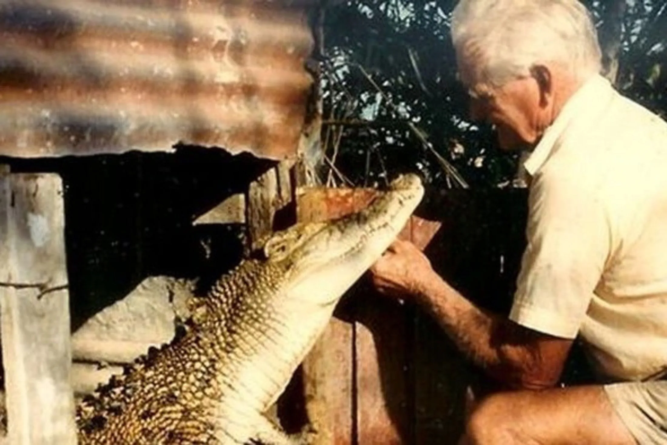 Alf loved his beloved croc