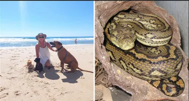 I wrestled a snake to save my dog