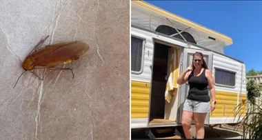 Camping Hell: I Had A Cockroach Stuck In My Ear!