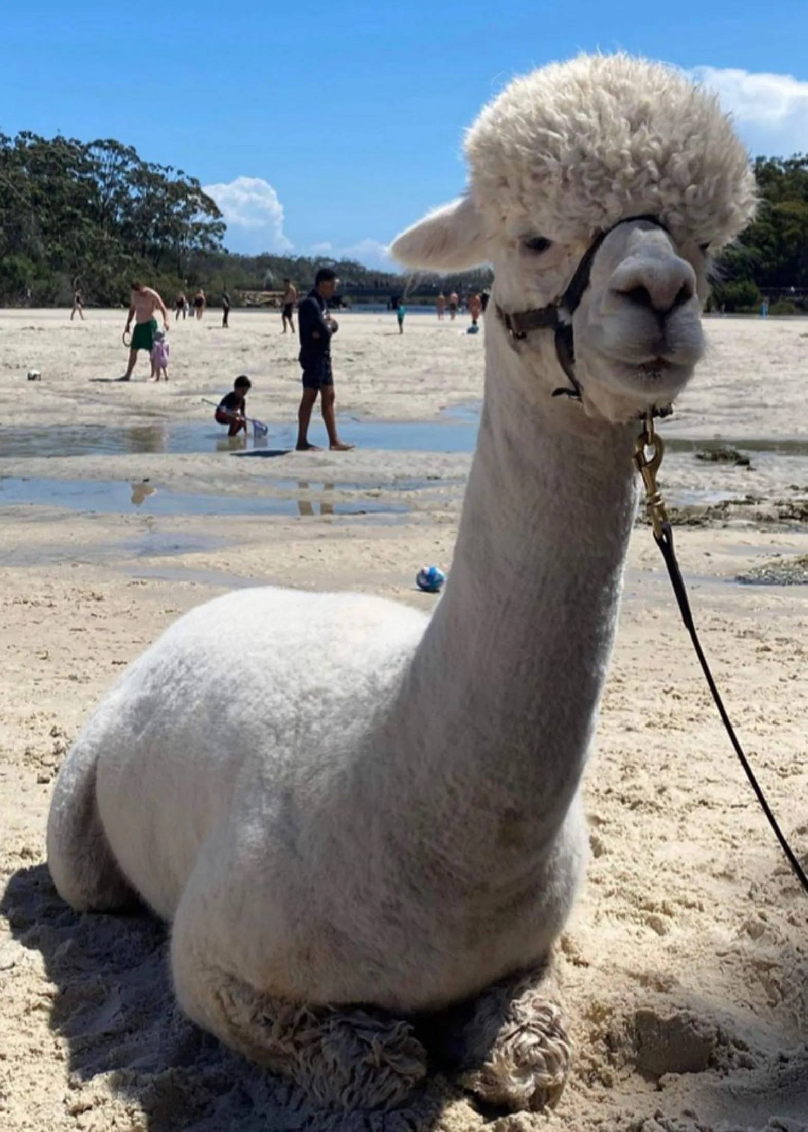 Hephner relaxing at the beach