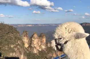Hephner loves a day at the Blue Mountains in NSW