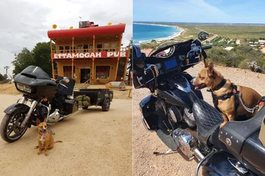 My rescue pup rides pillion around Australia!