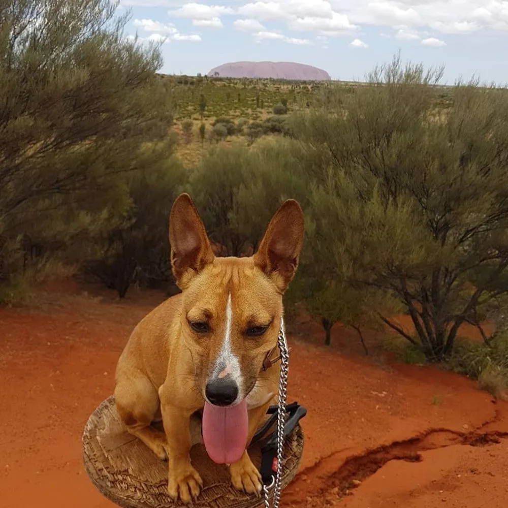 Andrew Darwood and Tassie