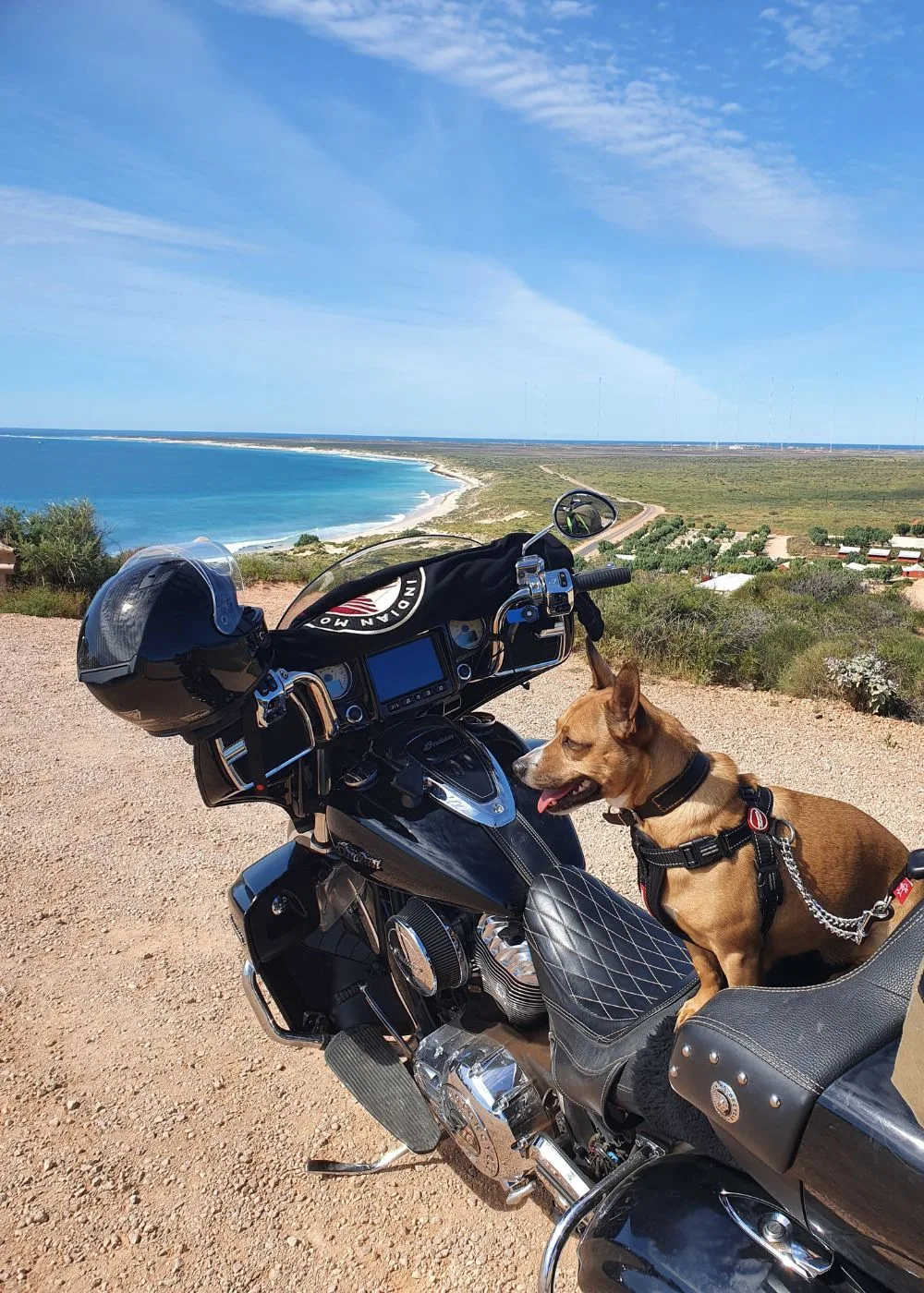 Andrew Darwood and Tassie