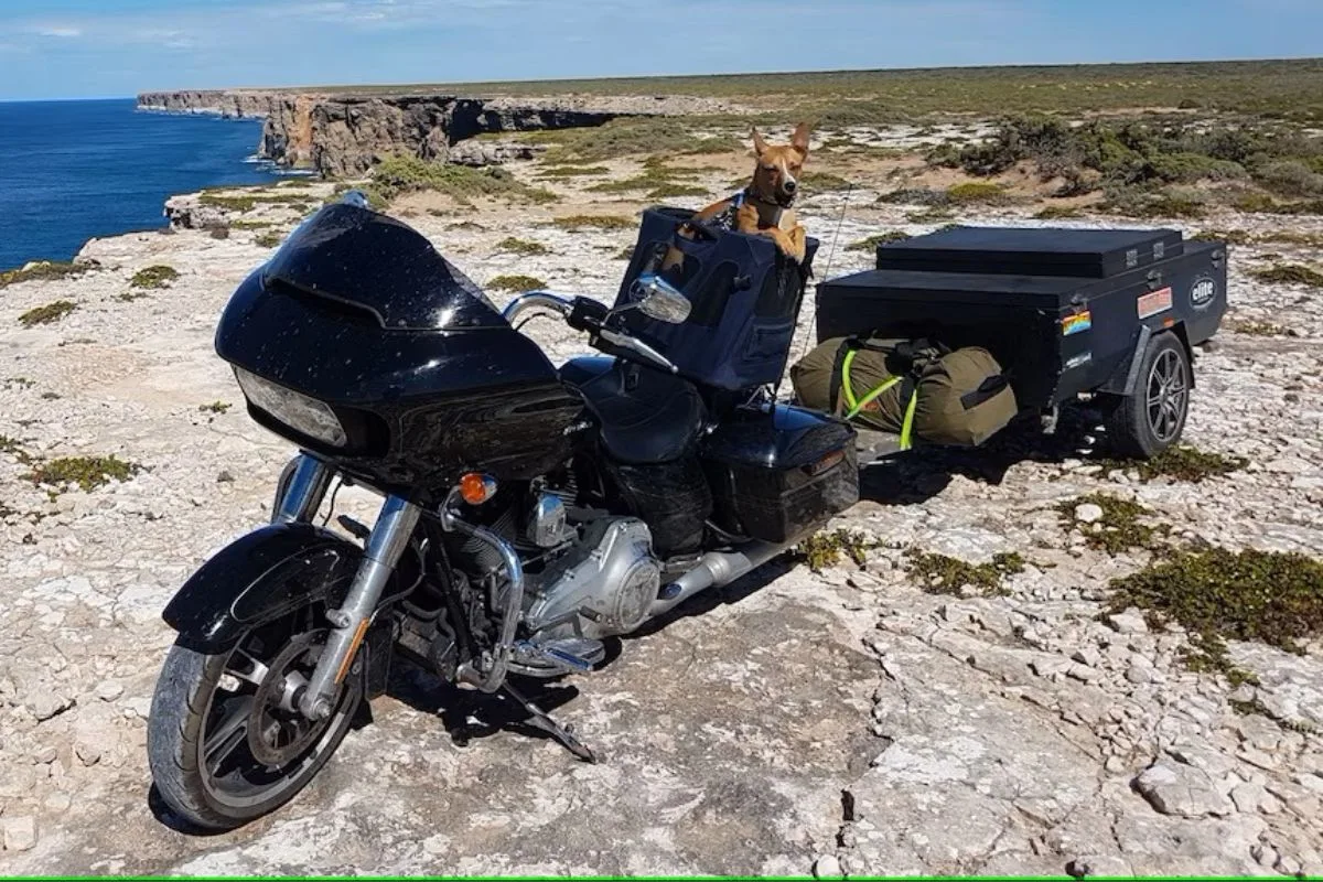 Andrew Darwood and Tassie