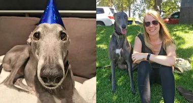 Blue The Grey – The Global Superstar