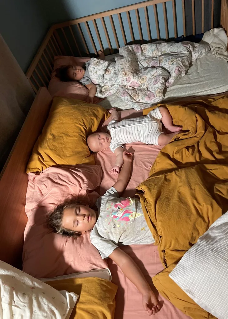 Briellen Barron snake bed family