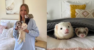 My ferrets are world famous!