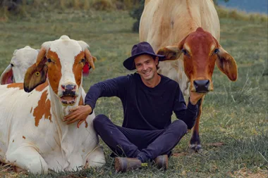 My Cows Are Therapists