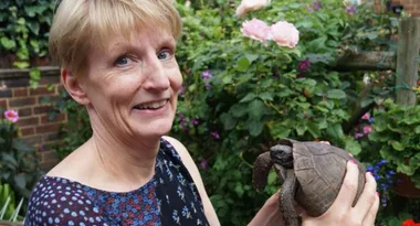 90-year old pet tortoise accidentally thrown out with the garbage