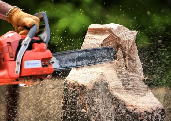 Chainsaw