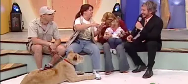Shocking video shows toddler attacked by lion on live tv