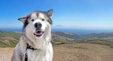 Munson’s big adventure