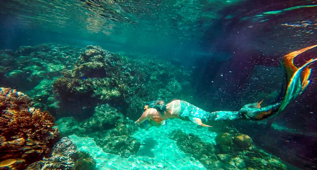 Jess Swimming at the aquarium