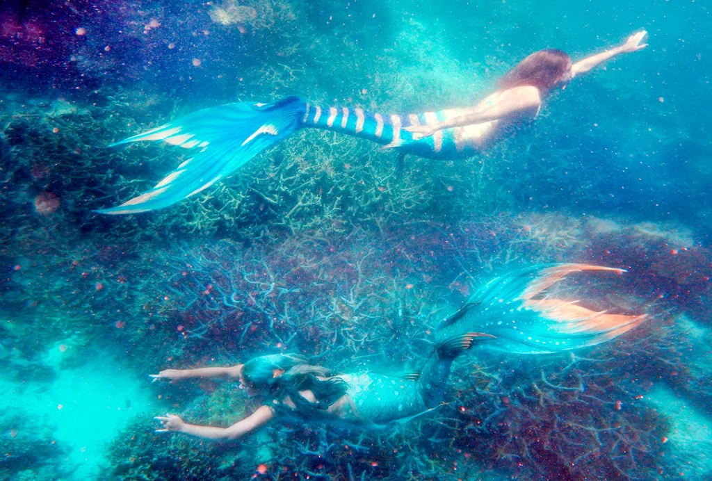Swimming at the great Barrier Reef