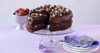 Chocolate Malt Sponge Cake