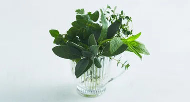 11 herbs that turn ordinary dishes into gourmet meals