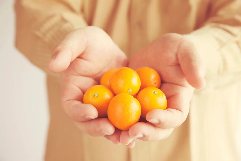 Kumquats are small citrus fruits