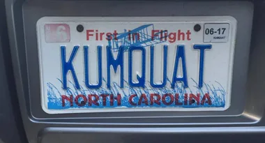 Woman accused of vulgar numberplates just knows more fruits than you