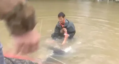 Incredible video of hero jumping into flood waters to rescue trapped woman and dog