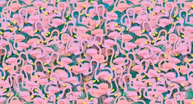 Can YOU spot the ballerina?