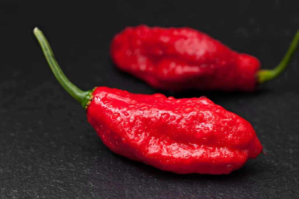 The ghost pepper