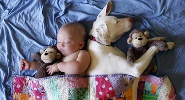 Mum documents her bub’s furry friends on Instagram