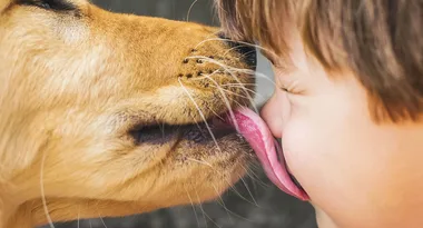 The gross reason you should never let your dog lick your face