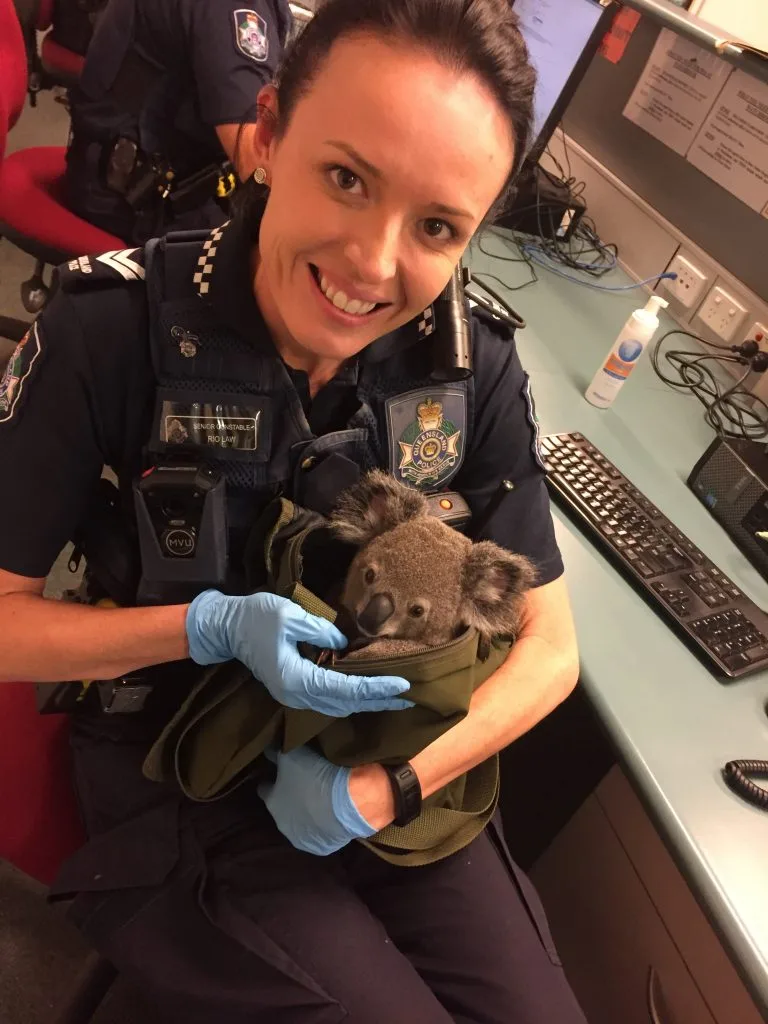 officer with joey